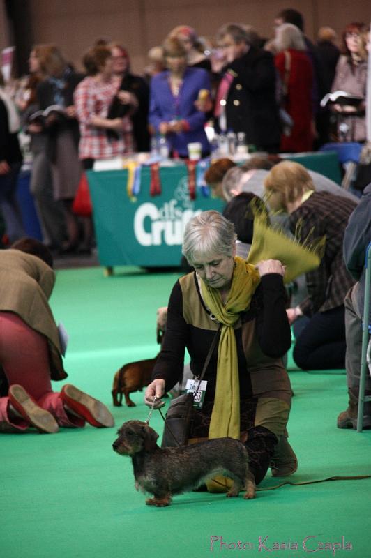 Crufts2011_2 1217.jpg